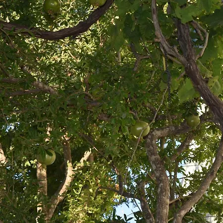 Prázdninový dům Pervoli Faliraki