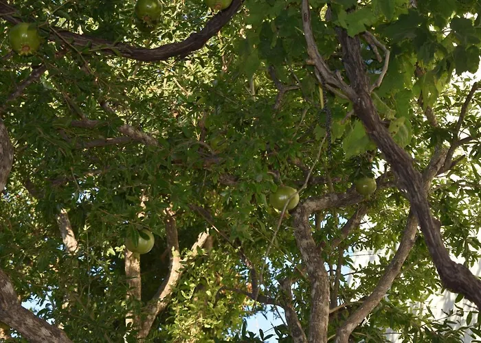 Casa de Férias Pervoli Faliraki