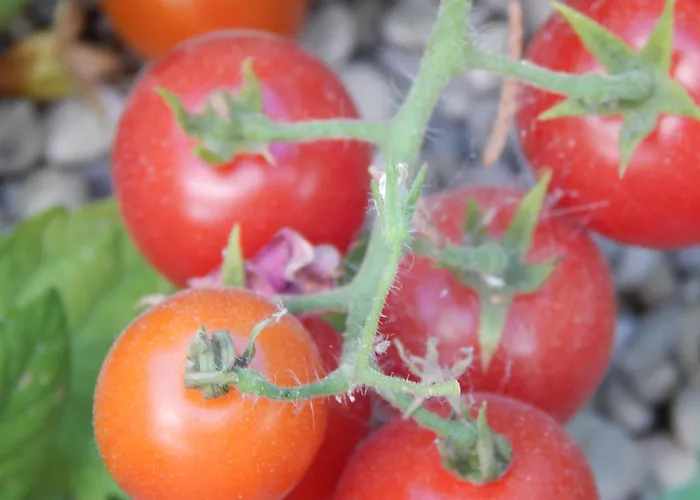 Casa de Férias Pervoli Faliraki