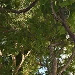 Сasa de vacaciones Pervoli Faliraki