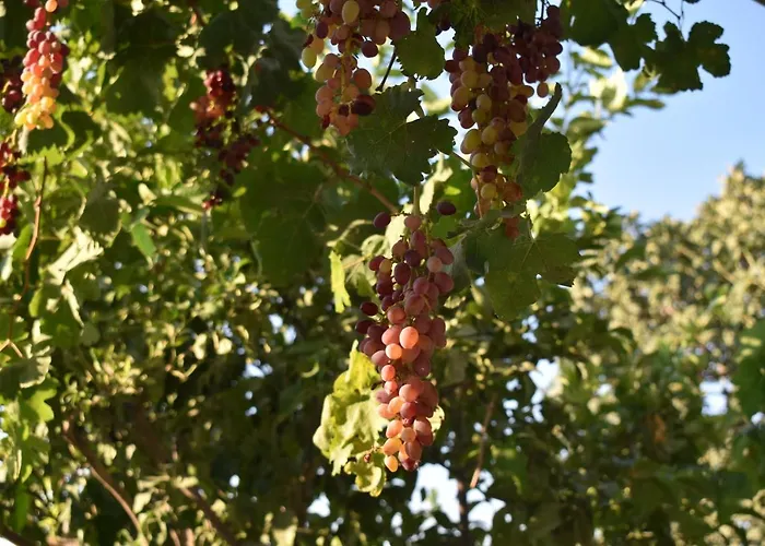 Case de vacanță Pervoli Faliraki